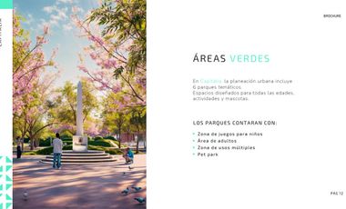 Venta de terrenos en CAPITALIA Motul Yucatan | Desarrollo e Inversión planeado