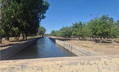 ¡GRAN OPORTUNIDAD DE INVERSIÓN! VENDE FINCA EN RIVADAVIA, MZA.