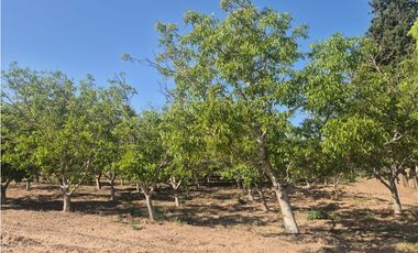 ¡GRAN OPORTUNIDAD DE INVERSIÓN! VENDE FINCA EN RIVADAVIA, MZA.