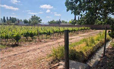 VENDE FINCA EN LUNLUNTA, MAIPÚ, MENDOZA.