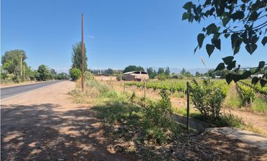 VENDE FINCA EN LUNLUNTA, MAIPÚ, MENDOZA.