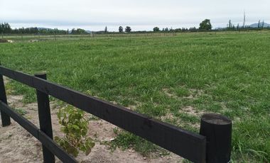 VENDO PARCELA EN PERALILLO