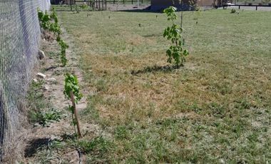 VENDO PARCELA EN PERALILLO