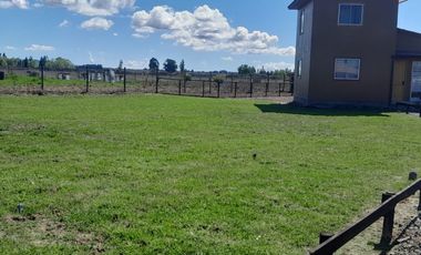 VENDO PARCELA EN PERALILLO