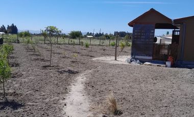 VENDO PARCELA EN PERALILLO