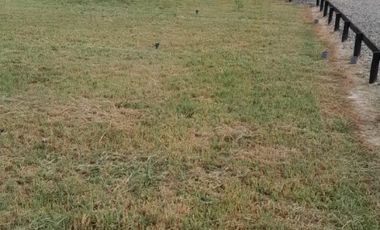 VENDO PARCELA EN PERALILLO