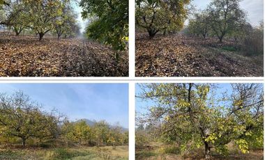 Casa en venta en SAN BERNARDO