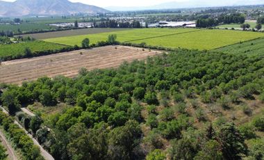 Casa en venta en SAN BERNARDO