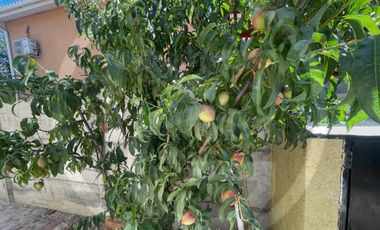 Casa en arriendo en PUENTE ALTO