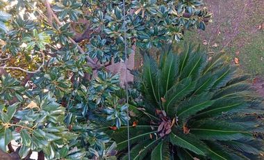 Terreno en Isidro Casanova