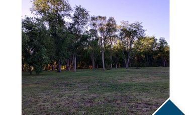 Casa en Alquiler en Brandsen