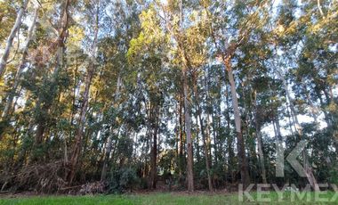 Terreno en venta - La Plata