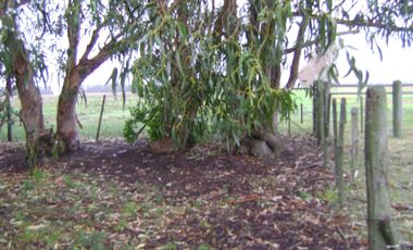 TERRENO EN VENTA MIRAMAR  GENERAL ALVARADO