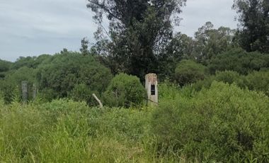 TERRENO EN VENTA MIRAMAR  GENERAL ALVARADO