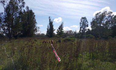 TERRENO EN VENTA MIRAMAR  GENERAL ALVARADO