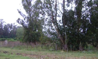 TERRENO EN VENTA MIRAMAR  GENERAL ALVARADO