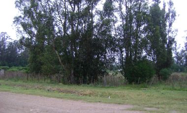 TERRENO EN VENTA MIRAMAR  GENERAL ALVARADO