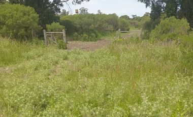 TERRENO EN VENTA MIRAMAR  GENERAL ALVARADO