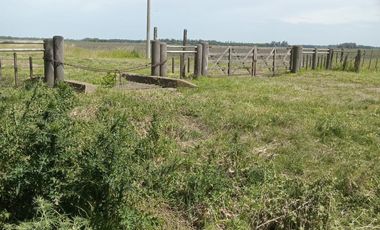 TERRENO EN VENTA MIRAMAR  GENERAL ALVARADO