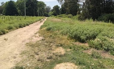 TERRENO EN VENTA MIRAMAR  GENERAL ALVARADO