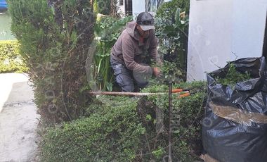 Renta de casa en Calacoaya