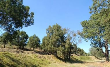 Lotes en venta en Pueblo San Matías Tepetomatitlan 