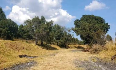 Lotes en venta en Pueblo San Matías Tepetomatitlan 