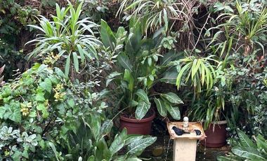 Casa en Venta en Propiedad única en centro histórico de Los Vilos. 2 casas con acceso independiente. Bodegón Cultural de Los Vilos