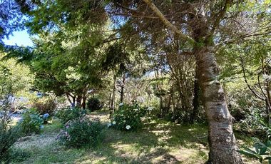 Casa en Arriendo en Parque Ivian