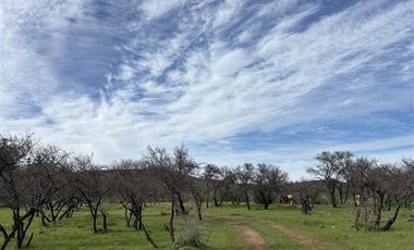 Parcela en Venta en los cristales, talca