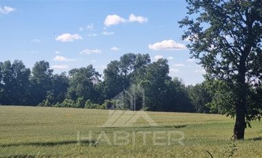 Agrícola en Venta en COD39616 campo agricola al sur de Vilcún cerca de Temuco