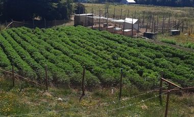 Parcela en Venta en CAMINO ARAVENA EN LA RUTA W 195