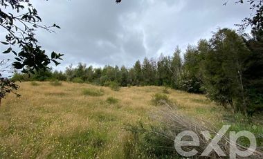 Parcela en Venta en CAMINO ARAVENA EN LA RUTA W 195