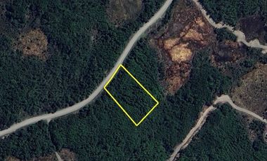 Parcela en Venta en Coihuin 3 HJ 99 LT19