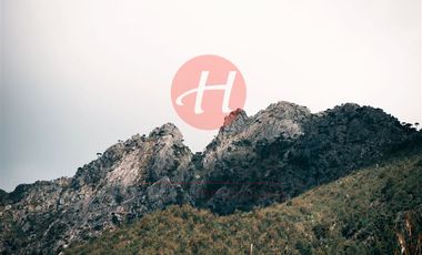 Parcela en Venta en tres Horquetas