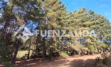 Casa en Venta en Los Aromos 38