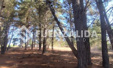 Casa en Venta en Los Aromos 38