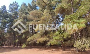 Casa en Venta en Los Aromos 38