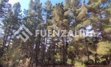 Casa en Venta en Los Aromos 38