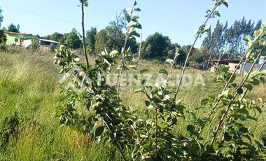 Agrícola en Venta en Sector nueve de Julio a 25 km de Temuco