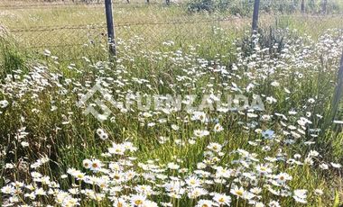 Agrícola en Venta en Sector nueve de Julio a 25 km de Temuco