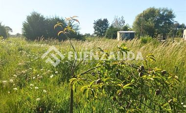 Agrícola en Venta en Sector nueve de Julio a 25 km de Temuco