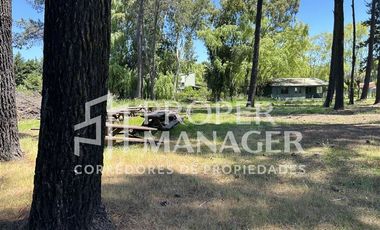 Terreno Construccion en Venta en Camping Bello Bosque en Quillon con Acceso a Laguna Avendaño