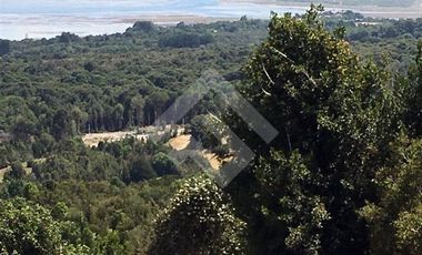 Parcela en Venta en Parcelacion Altos de Piedra Azul.