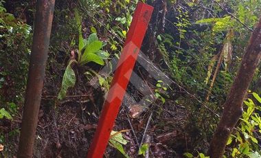 Parcela en Venta en Parcelacion Altos de Piedra Azul.