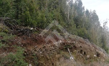 Parcela en Venta en Parcelacion Altos de Piedra Azul.