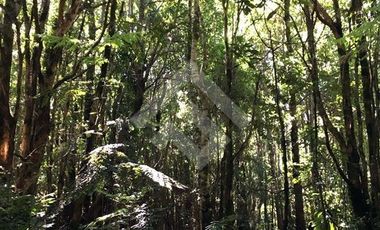 Parcela en Venta en Parcelacion Altos de Piedra Azul.