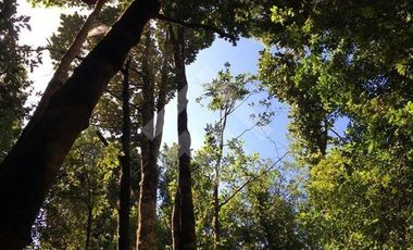 Parcela en Venta en Parcelacion Altos de Piedra Azul.