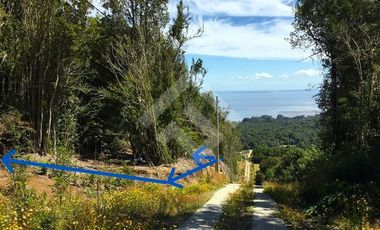 Parcela en Venta en Parcelacion Altos de Piedra Azul.