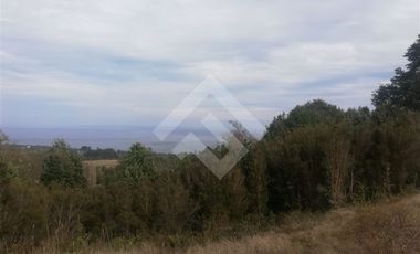 Parcela en Venta en Parcelacion Altos de Piedra Azul.